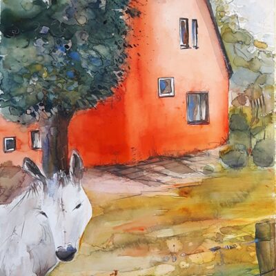 Aquarell kaufen