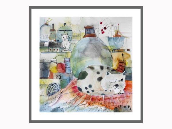 Hauskater – Bild 2
