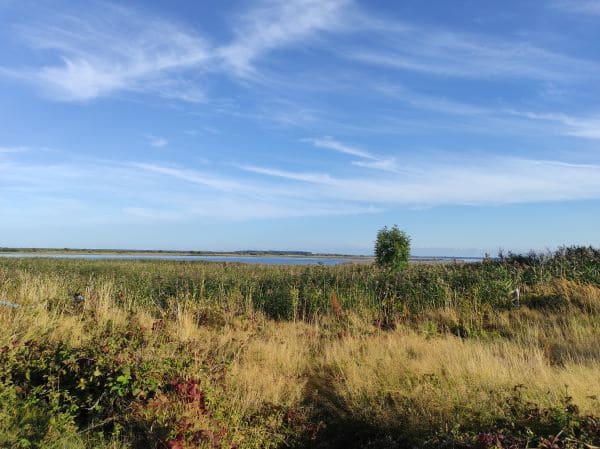 Hiddensee
