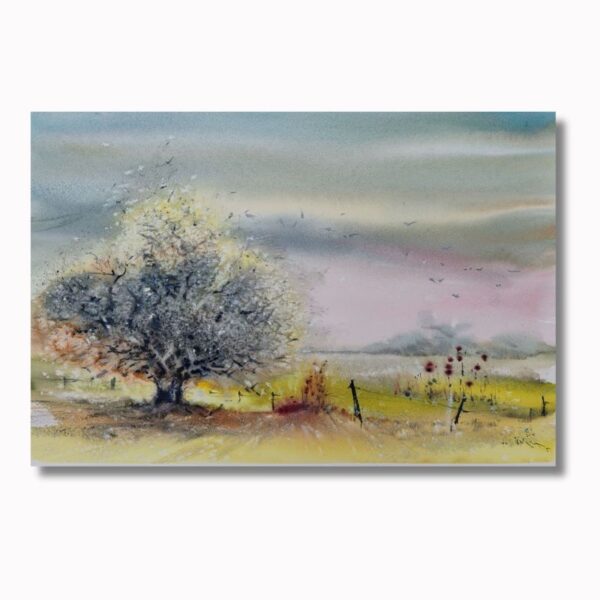 Weißdornbaum Landschaft – Bild 4