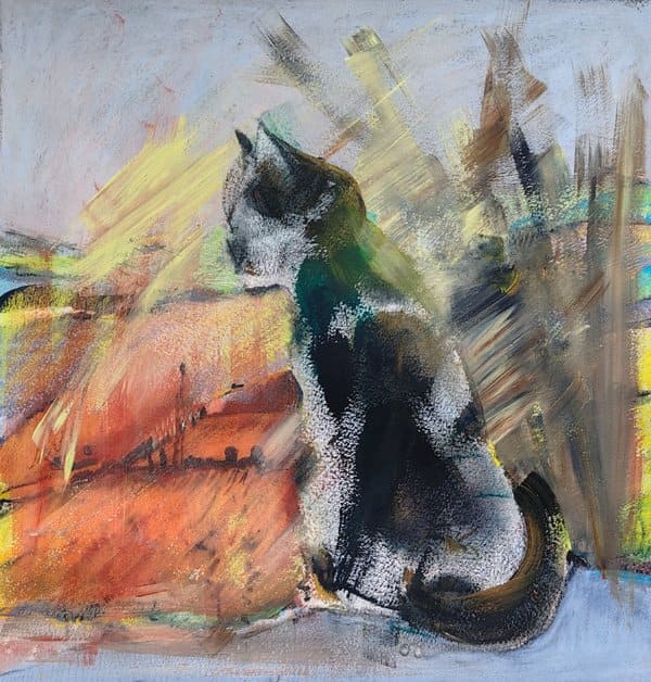 katze im Bild